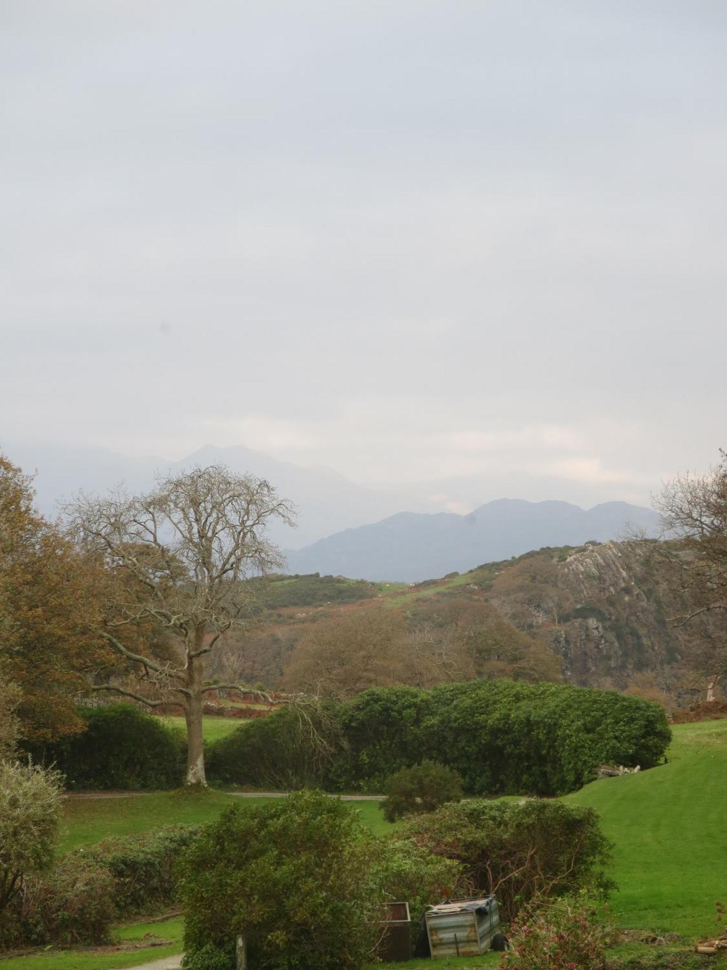 Maes Y Neuadd Talsarnau Room photo